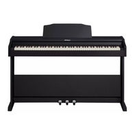 Roland RP102 Owner's Manual