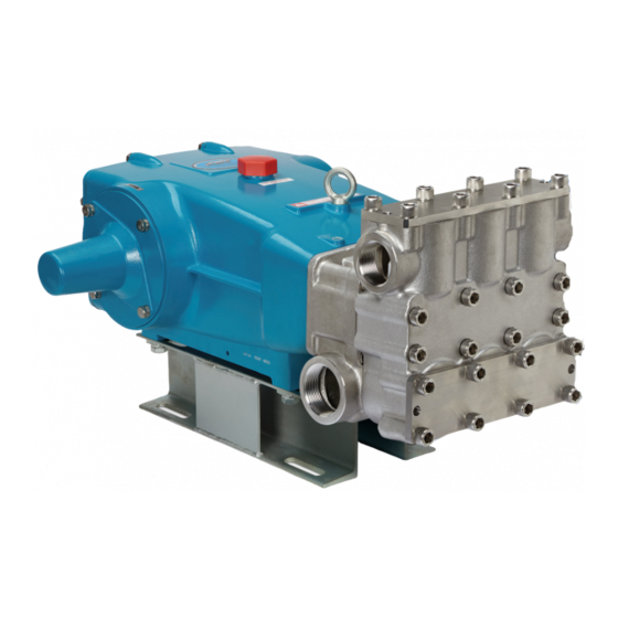 CAT PUMPS 67102 SERVICE MANUAL Pdf Download ManualsLib