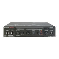 Roland Audio Canvas UA-100 Manual