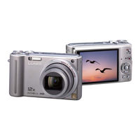 Panasonic FX550 Brochure & Specs