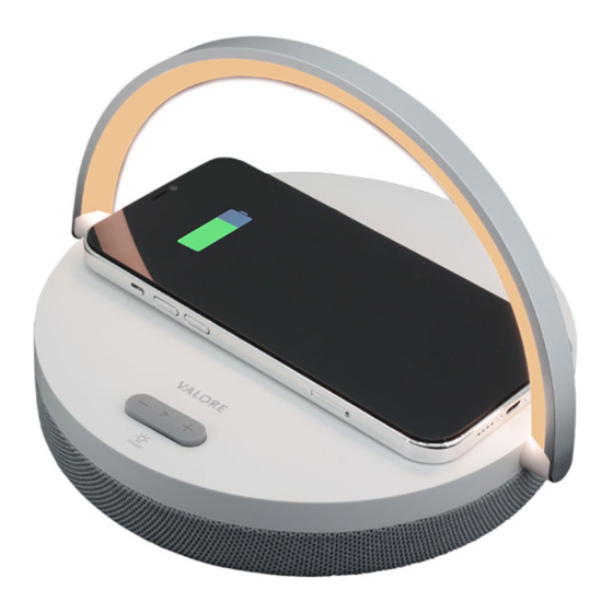Valore BTS36 Quick Start Manual