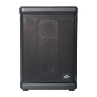 Peavey Solo User Manual