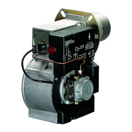 RIELLO REG 35.3 INSTALLATION, USE AND MAINTENANCE INSTRUCTIONS Pdf ...