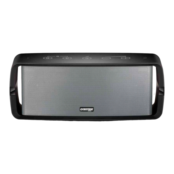 cabstone SoundOne User Manual