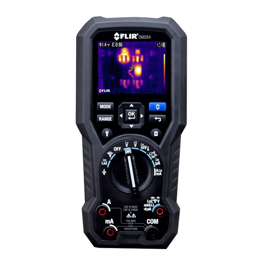 FLIR DM284 QUICK START MANUAL Pdf Download ManualsLib
