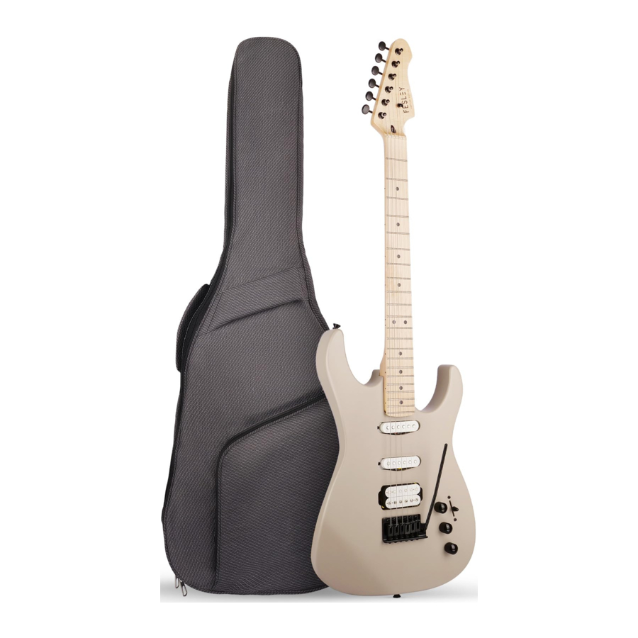Fesley FST-350M - Electric Guitar Manual