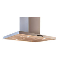AIRFORCE F97 90x60 TSE Instruction On Mounting And Use Manual