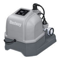 Bestway 58775 Owner's Manual