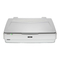 Epson Expression 13000XL