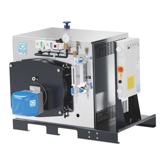 ICI Caldaie FX N Series Installation, Use And Maintenance Manual