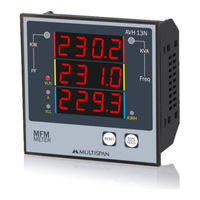Multispan AVH 13N User Manual