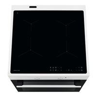 VOSS VKI60350HV User Manual