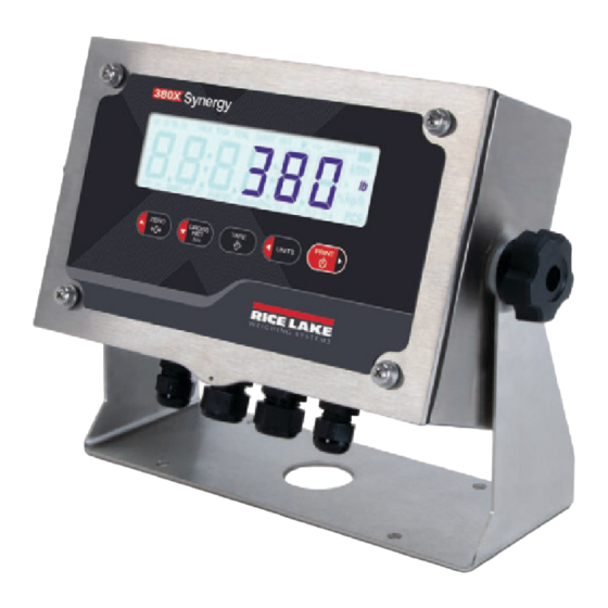 Rice Lake EVOLUTION Synergy 380 Technical Manual