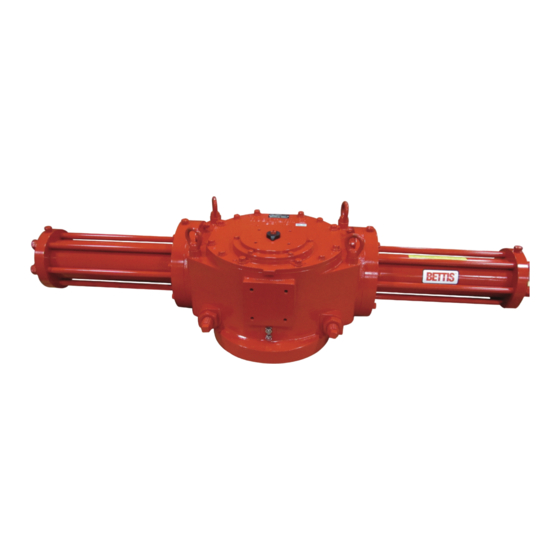 EMERSON BETTIS G10 SERIES SERVICE INSTRUCTIONS MANUAL Pdf Download