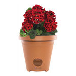 ION Planter Speaker Service Manual