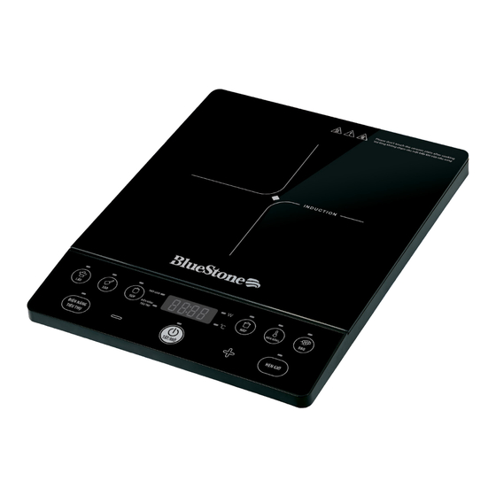 Bluestone ICB-6609 User Manual
