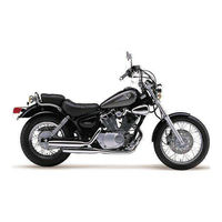 2006 virago outlet 250