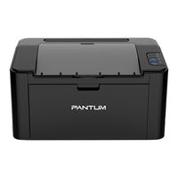 Pantum P2500W Manual