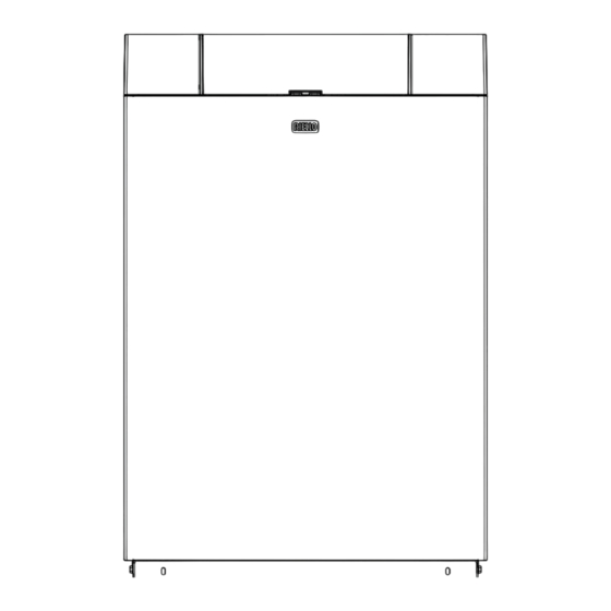 Riello INSIEME EVOe 32 V LN User Manual