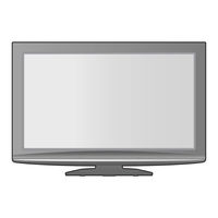 Panasonic VIERA TH-L37G10A Operating Instructions Manual