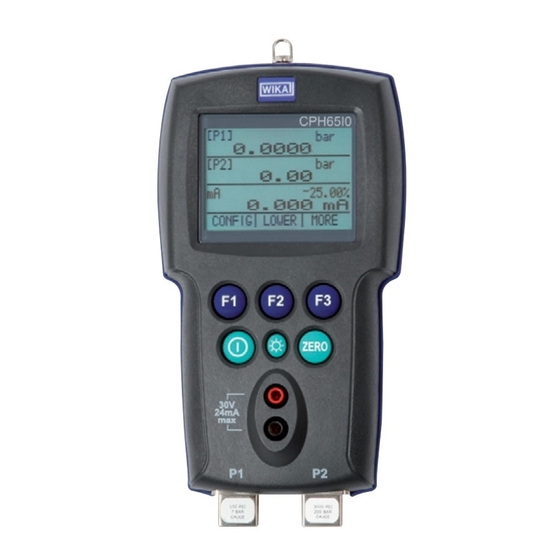 WIKA CPH65I0 Manuals
