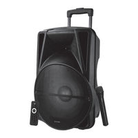 Panacom S81WM Stage Sound User Manual