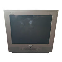 RCA TruFlat BD20TF10 User Manual