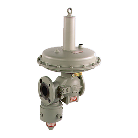 ITRON RR16 INSTRUCTION MANUAL Pdf Download ManualsLib