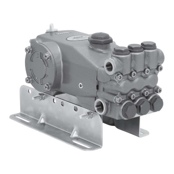 CAT Pumps 7CP6111CS Service Manual