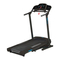 Treadmill York Fitness t501 Owner's Manual