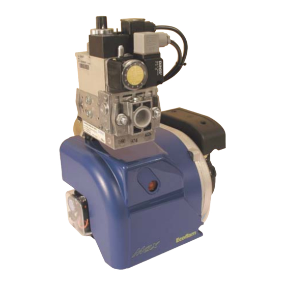 Ecoflam MAX GAS 70 P AB Manual