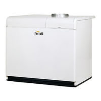 Ferroli PEGASUS 67 2S Instructions For Use Manual