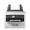 All in One Printer Epson WF-C5290 Series User Manual