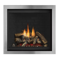 Regency Fireplace Products Grandview G600C-1 Owners & Installation Manual
