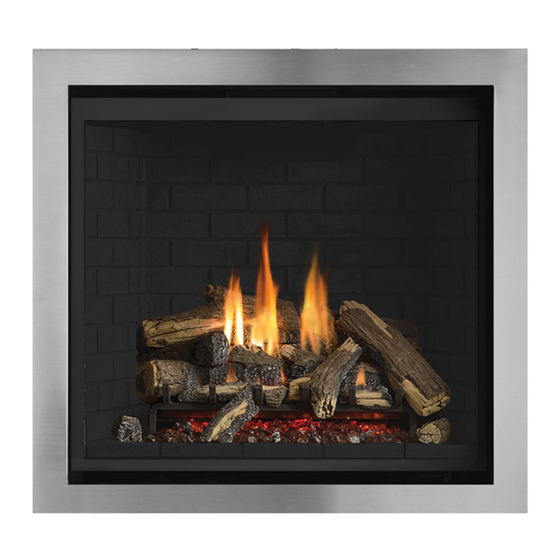 Regency Fireplace Products Grandview G600C-1 Manuals