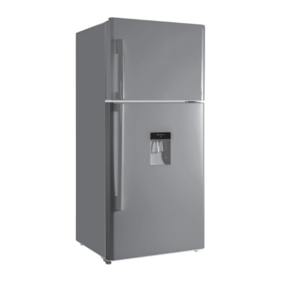 Saba DP4806NFWDIX Manual