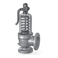 consolidated 1811 safety valve supplier