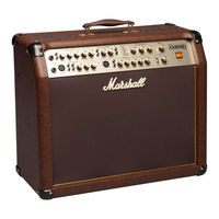 Marshall Amplification AS100D User Manual