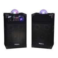 Ibiza Sound DP234-ASTRO User Manual
