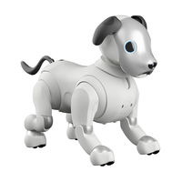 AIBO ERS-1000 Startup Manual