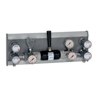 Spectron BM55-2U User Manual