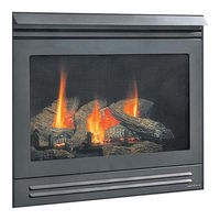 Heat & Glo 550TRSILP-AUF Owner's Manual