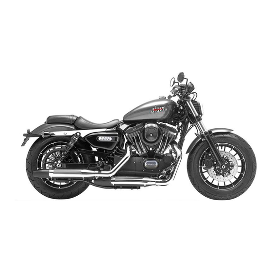 SWM STORMBREAKER Manual