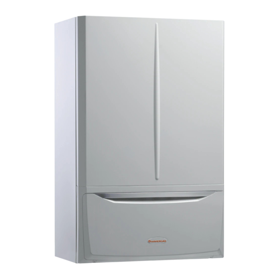 Immergas VICTRIX MAIOR 35 X TT 1 ERP Instruction And Recommendation Booklet