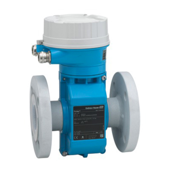 ENDRESS+HAUSER PROLINE PROMAG P 100 OPERATING INSTRUCTIONS MANUAL Pdf