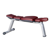 BRONZE GYM H-36A User Manual