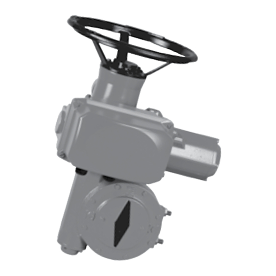 Bernard Controls EZ Series Instructions For Start-Up, Storage And Maintenance