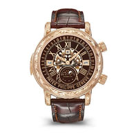 Patek Philippe Sky Moon Tourbillon Manual