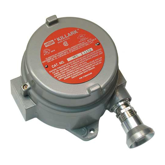 RKI Instruments 65-2422RK-05 Operator's Manual