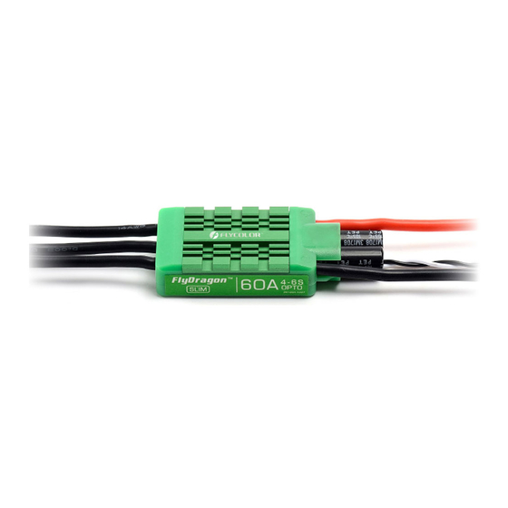Flycolor FlyDragon SLIM-60A User Manual
